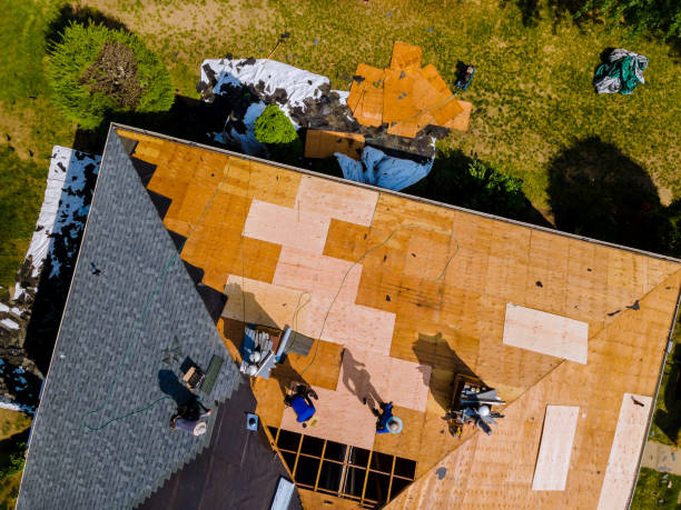 Best Commercial Roofing Services  in Hamshire, TX