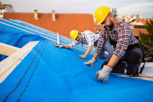 Best Flat Roof Repair Services  in Hamshire, TX