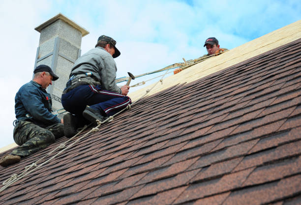 Best Roof Waterproofing Services  in Hamshire, TX