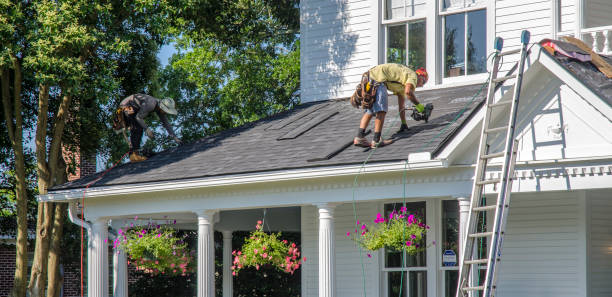Best Roof Leak Repair  in Hamshire, TX